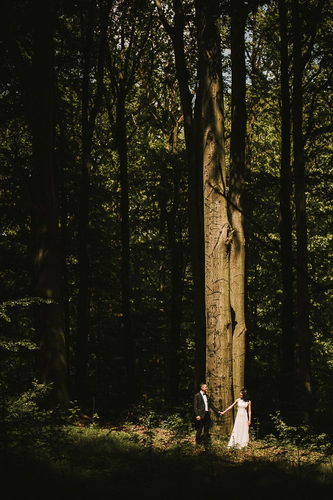 Plener ślubny w lesie